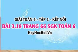 Giải bài 3.18 trang 66 Toán 6 Tập 1 SGK Kết nối tri thức
